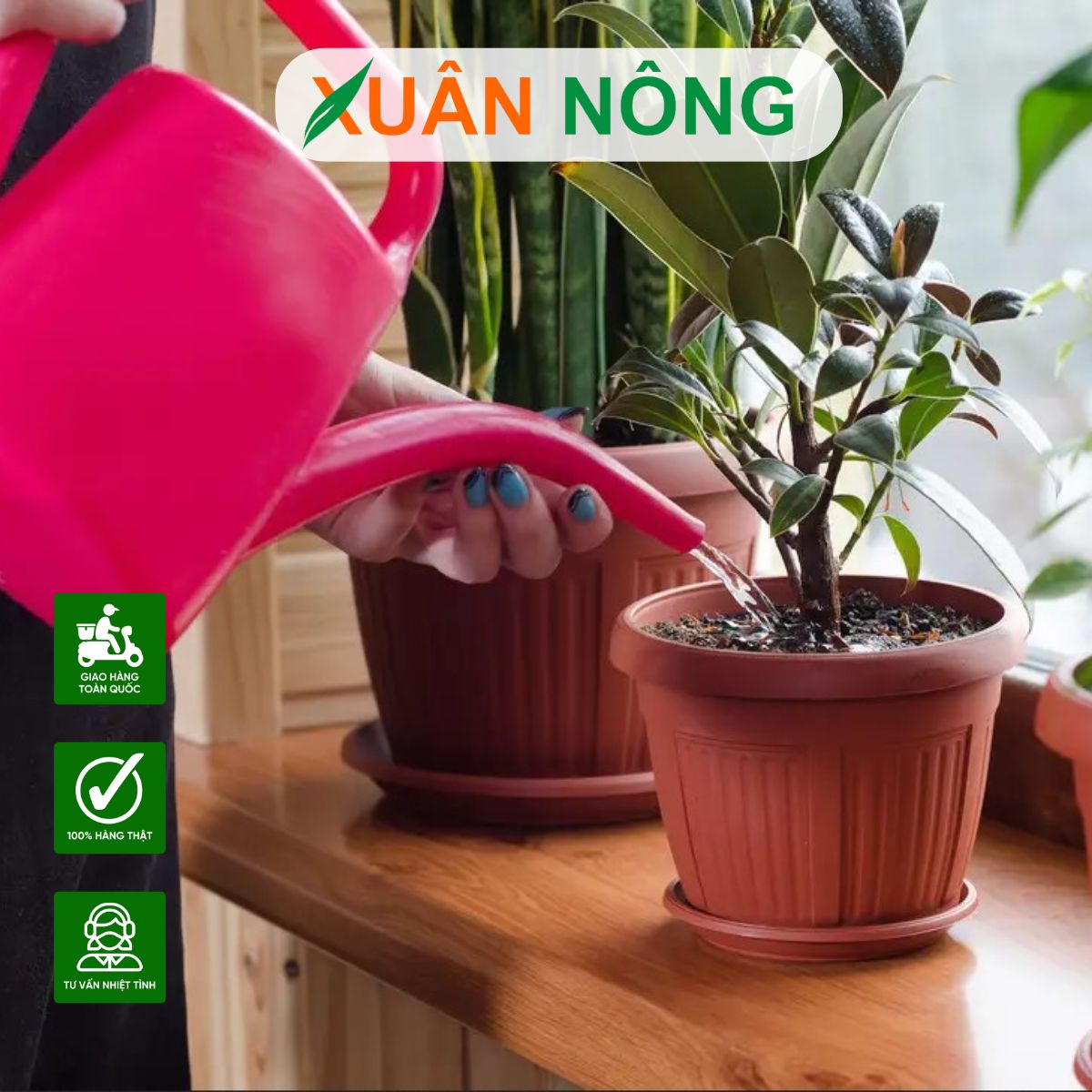 dung-cu-trong-cay-trong-chau-3