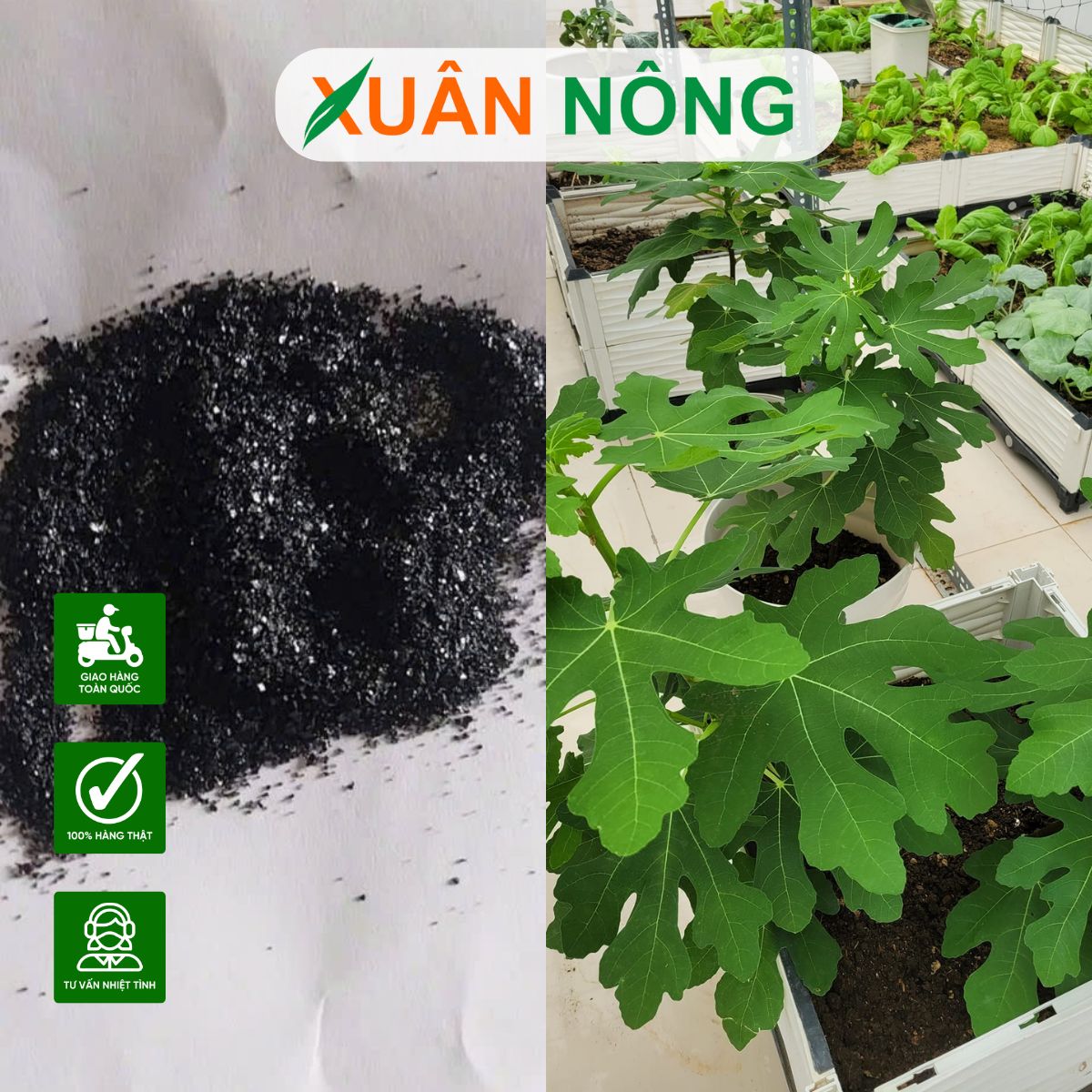 humic-my-tac-dung-la-gi