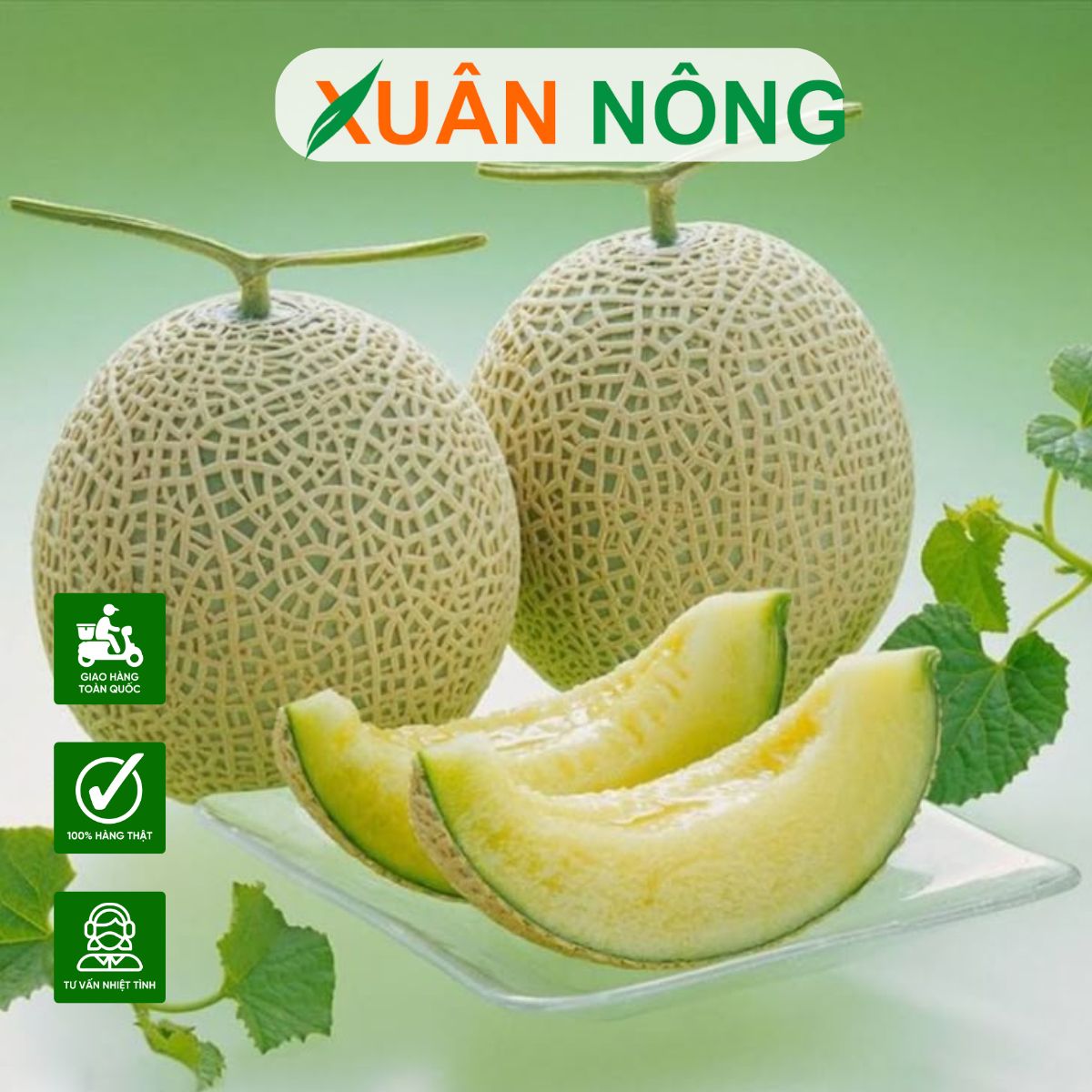 mo-hinh-nha-mang-trong-dua-luoi-10