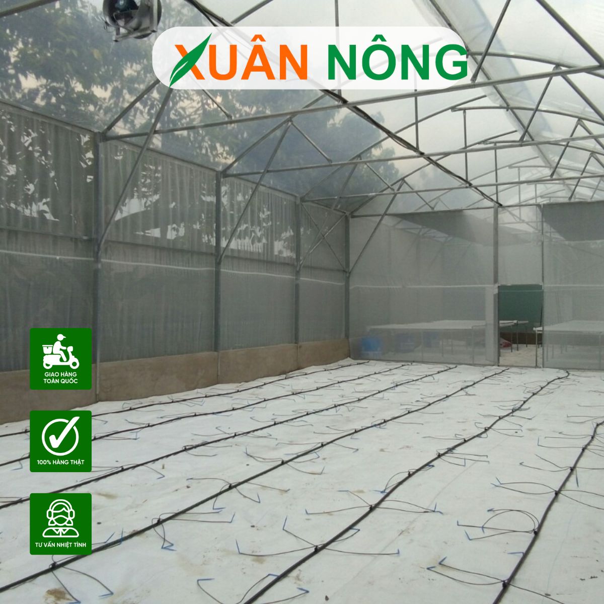 mo-hinh-nha-mang-trong-dua-luoi-4