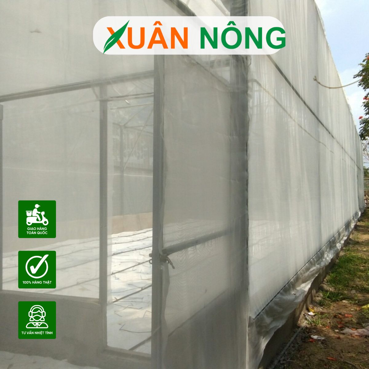 mo-hinh-nha-mang-trong-dua-luoi-5