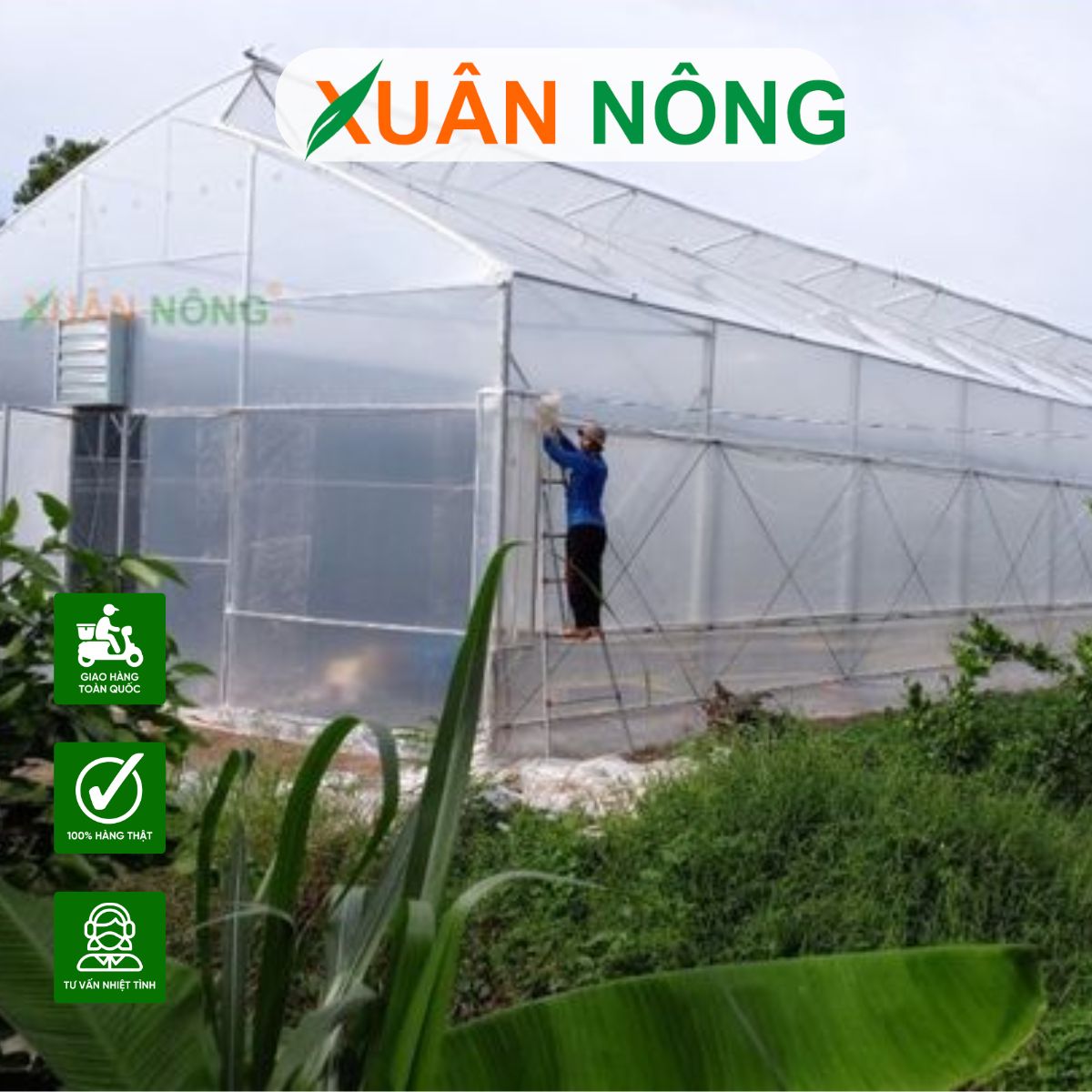 mo-hinh-nha-mang-trong-dua-luoi-7