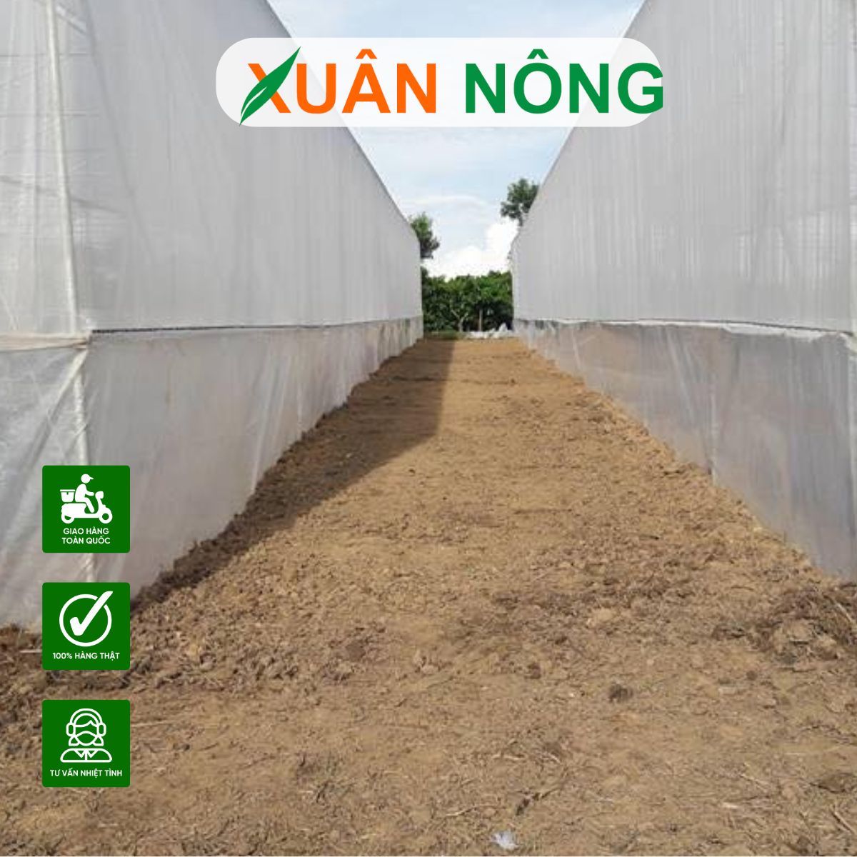 mo-hinh-nha-mang-trong-dua-luoi-xuan-nong-5