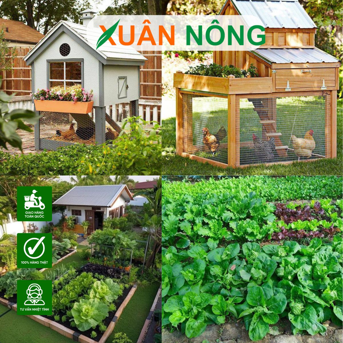 mo-hinh-trong-rau-nuoi-ga