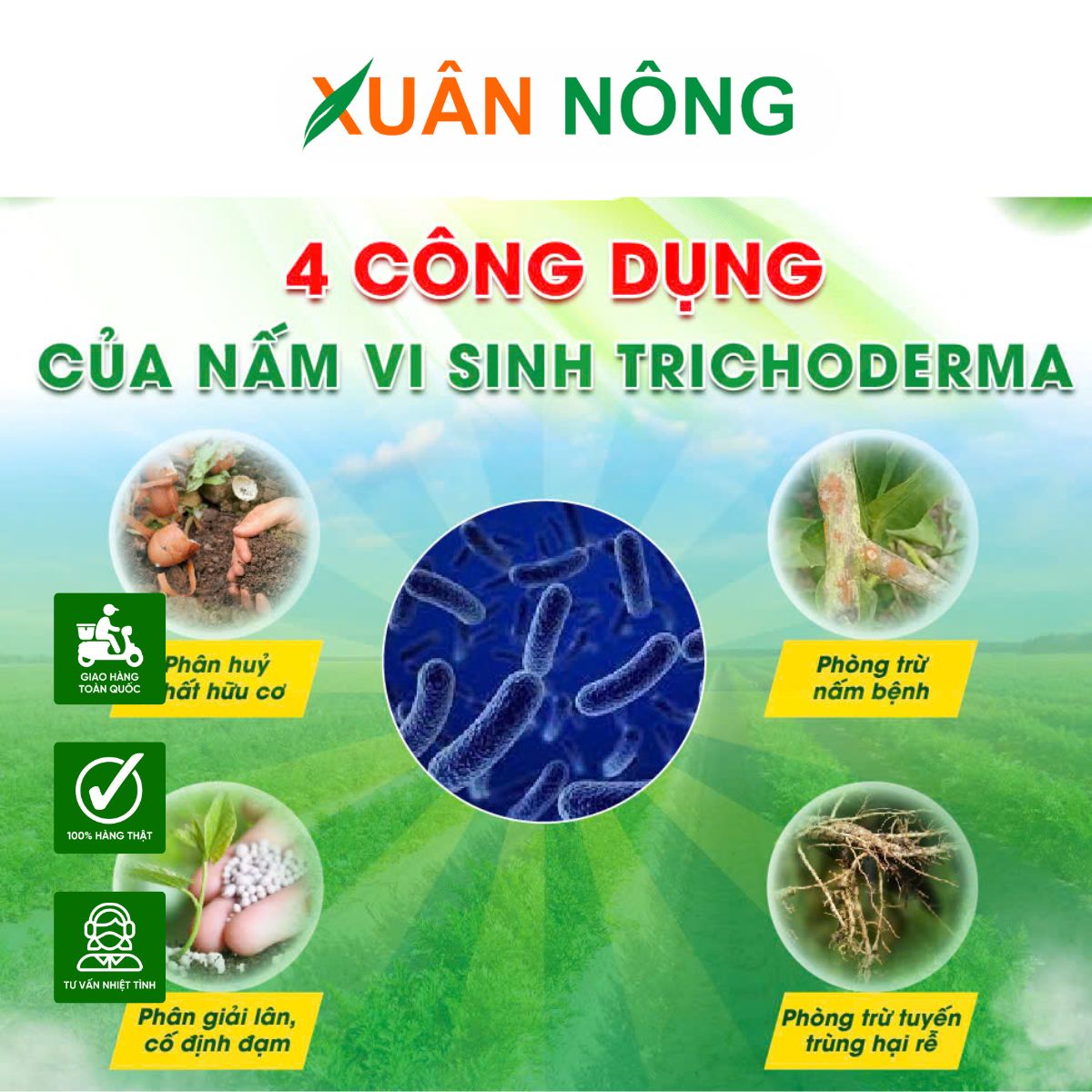 nam-trichoderma-loai-nao-tot-co-doc-khong-4
