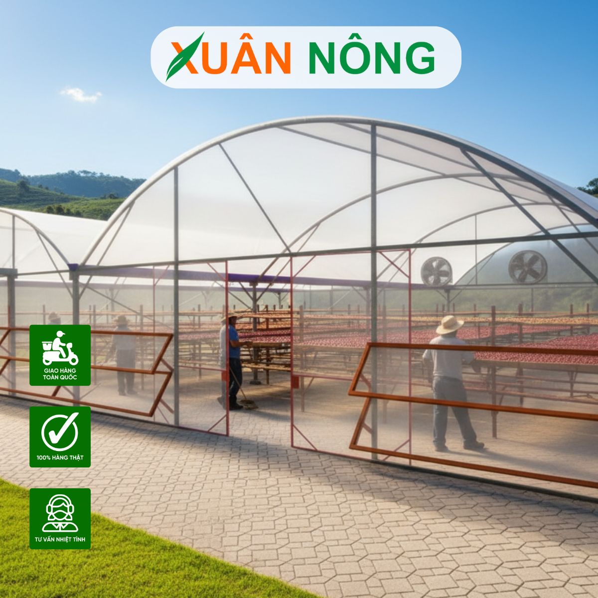 nha-kinh-phoi-ca-phe-va-13-luu-y-quan-trong-3
