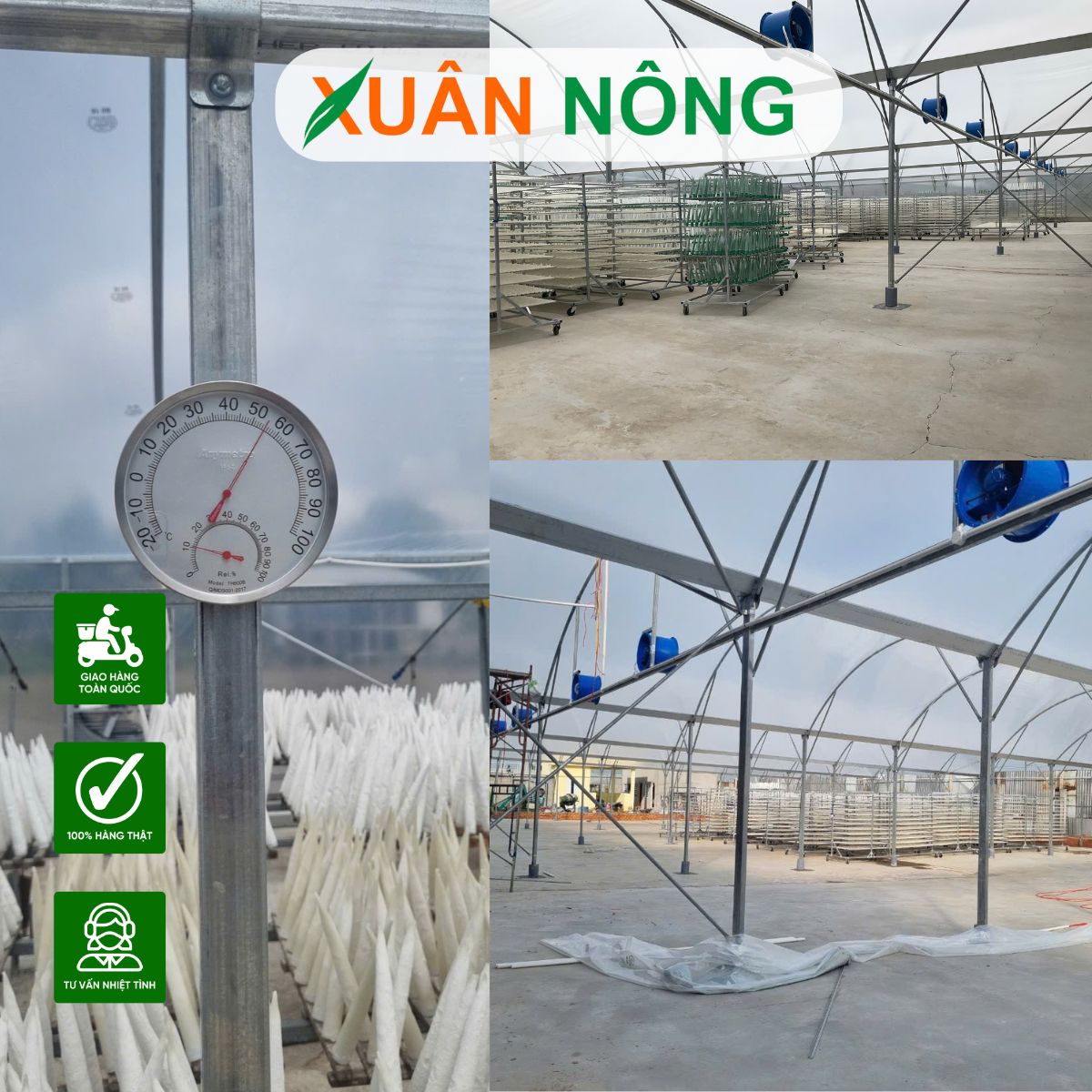 nha-kinh-phoi-ca-tai-dong-thap-1