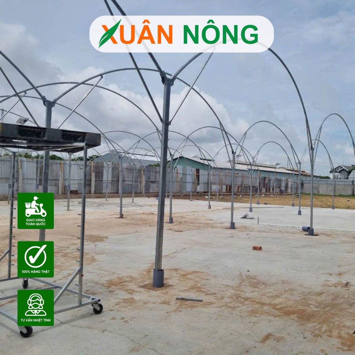 nha-kinh-phoi-chuoi-tai-long-an-2