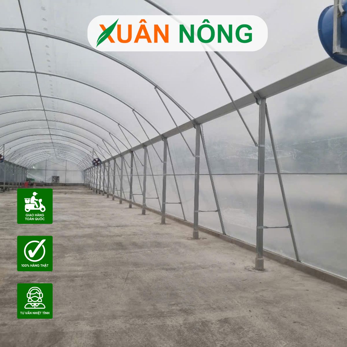 nha-kinh-phoi-chuoi-tai-long-an-3