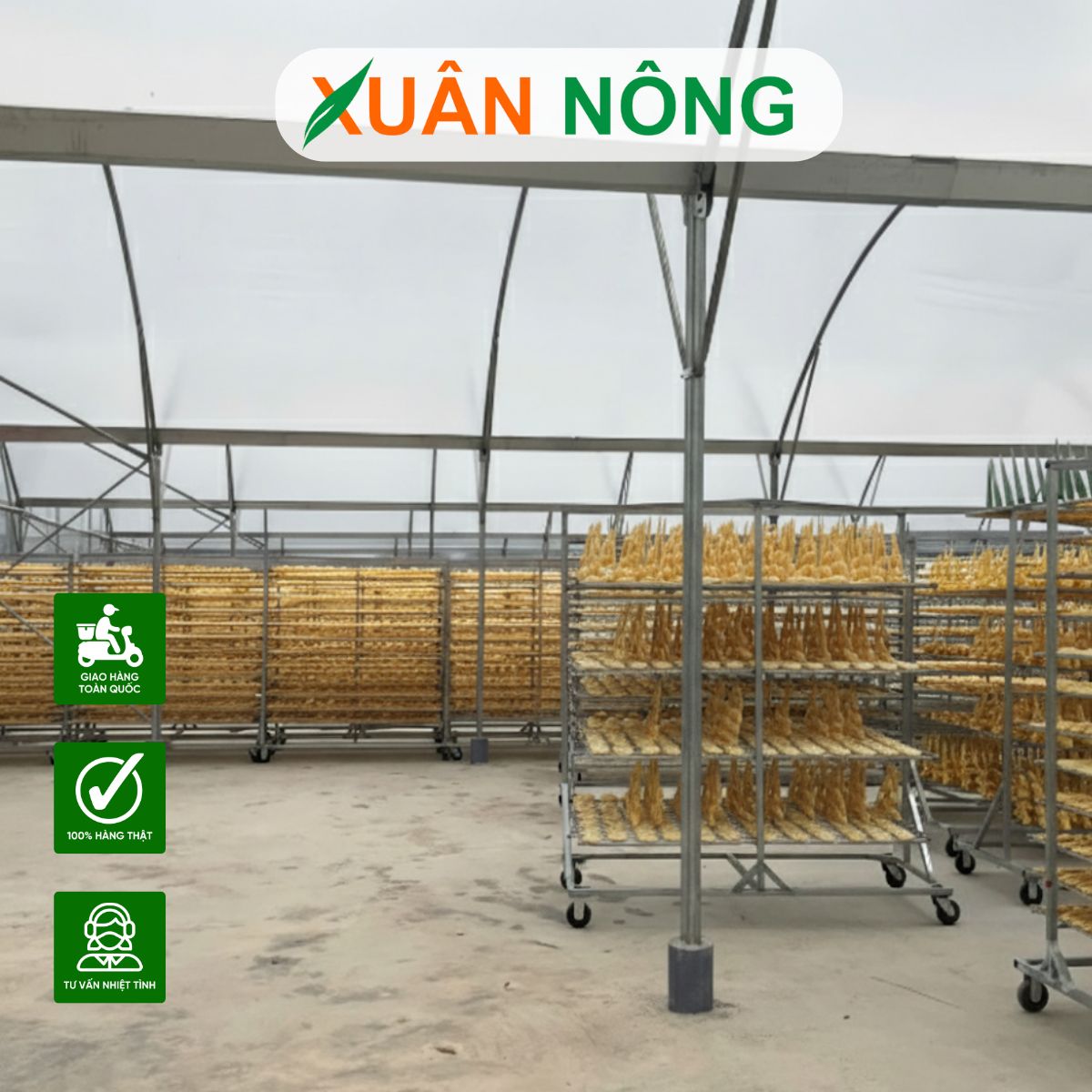 nha-kinh-phoi-chuoi-tai-long-an