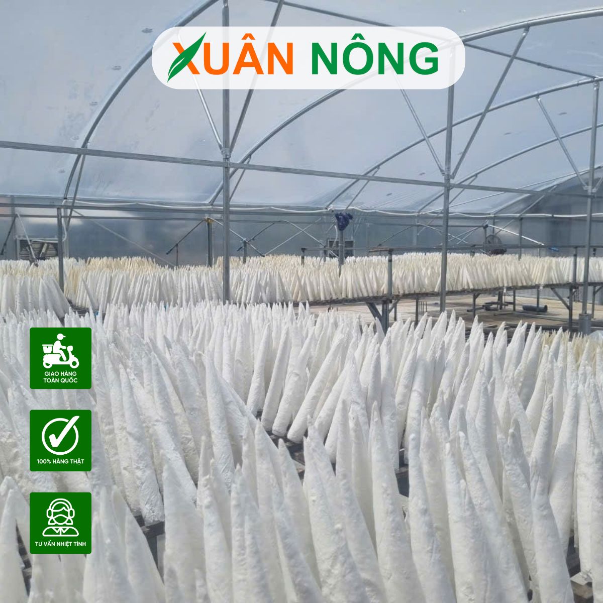 nha-kinh-phoi-say-bang-nang-luong-mat-troi-top-10-luu-y-khi-thi-cong-4