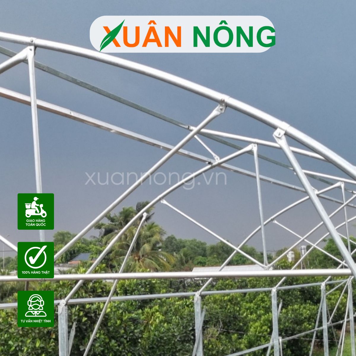nha-kinh-trong-dua-luoi-1