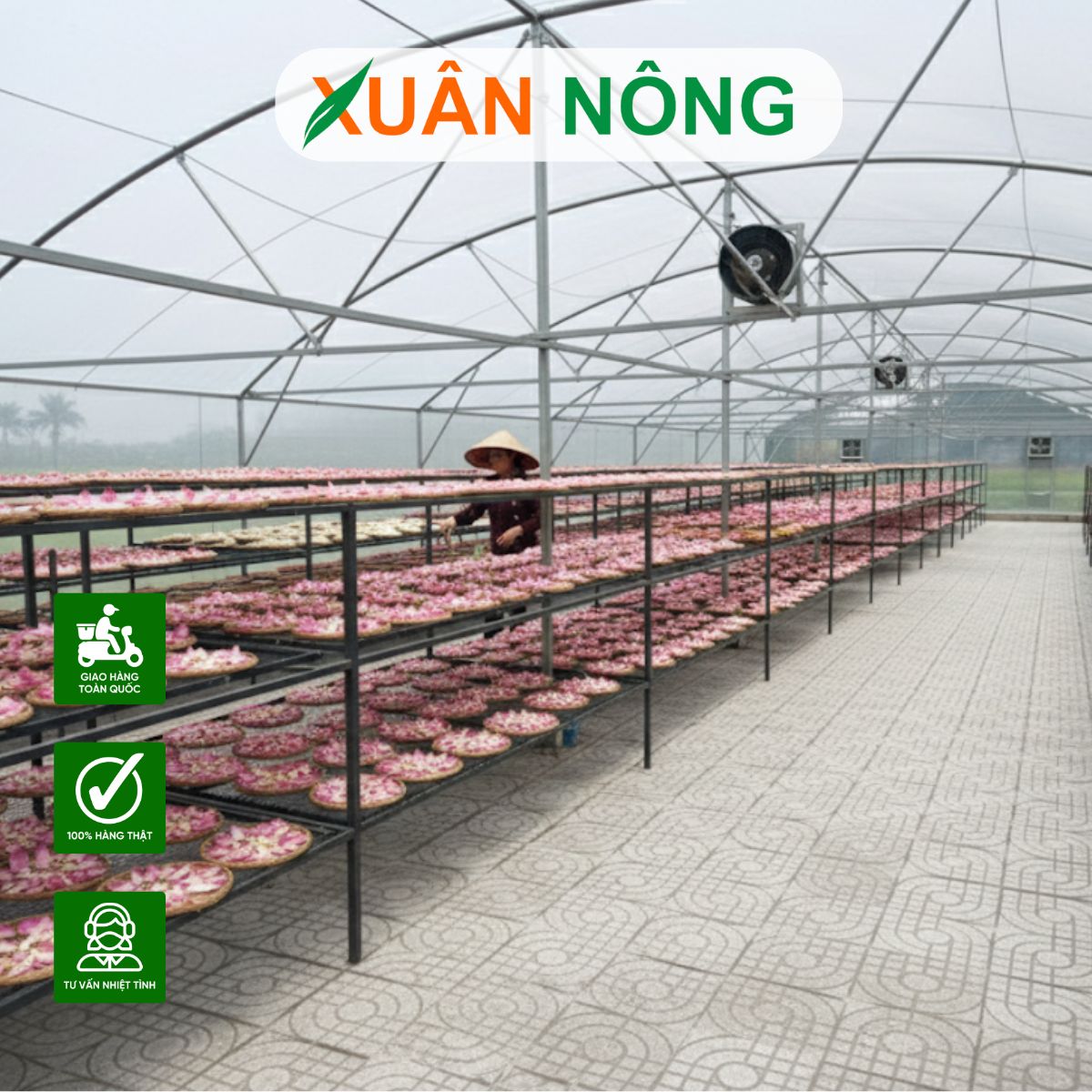 nha-mang-phoi-nong-san-tai-dong-thap-1