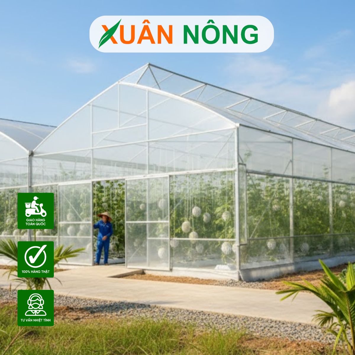nha-mang-trong-dua-luoi-10