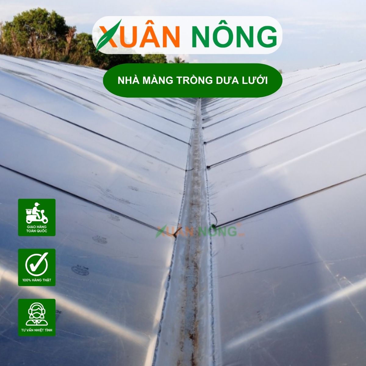 nha-mang-trong-dua-luoi-2