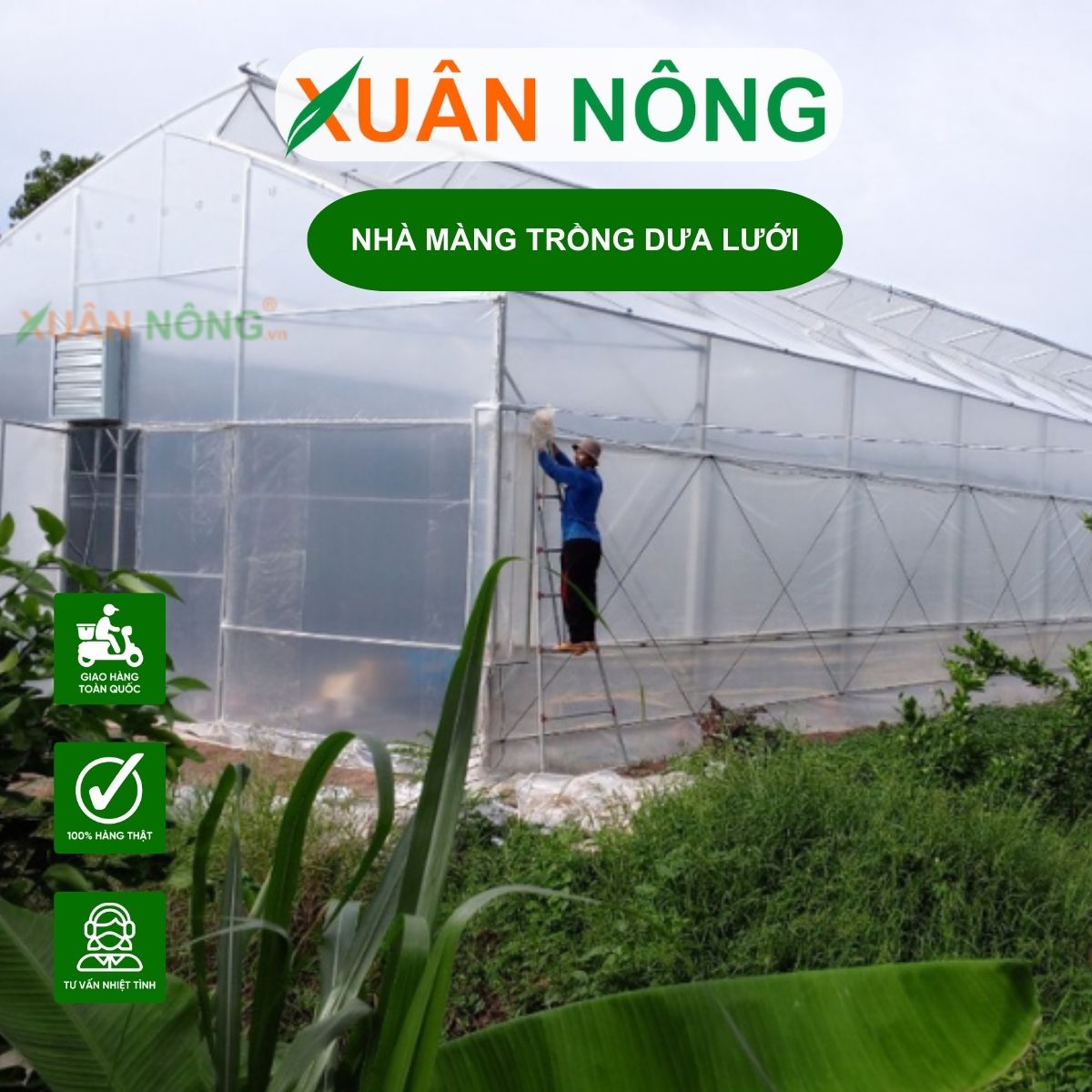 nha-mang-trong-dua-luoi-3