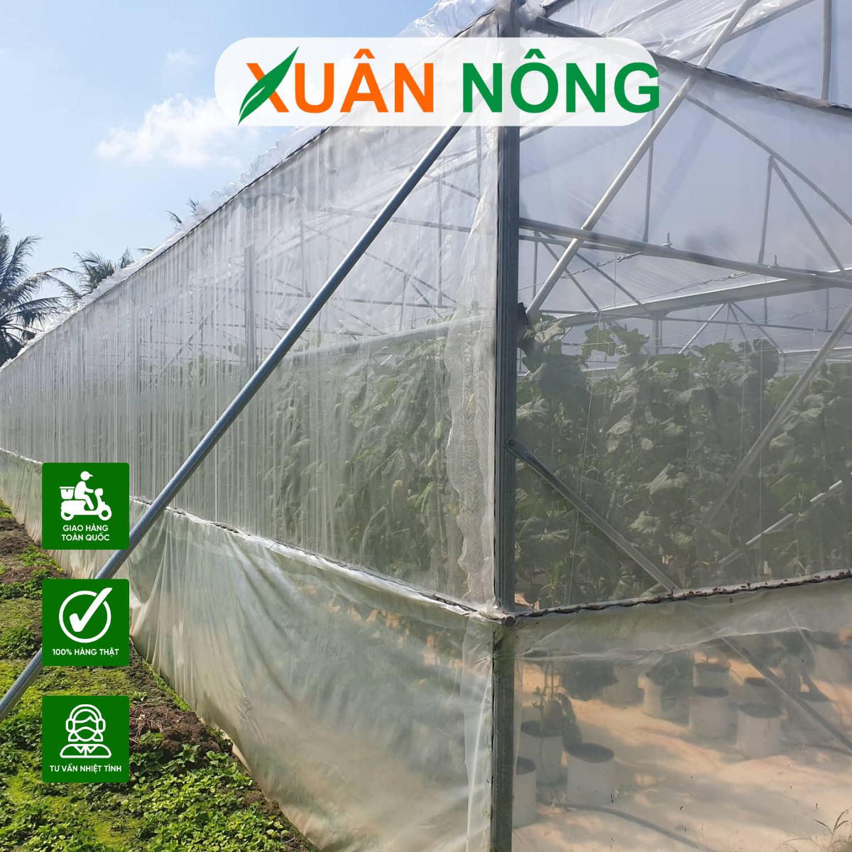 nha-mang-trong-dua-luoi-4