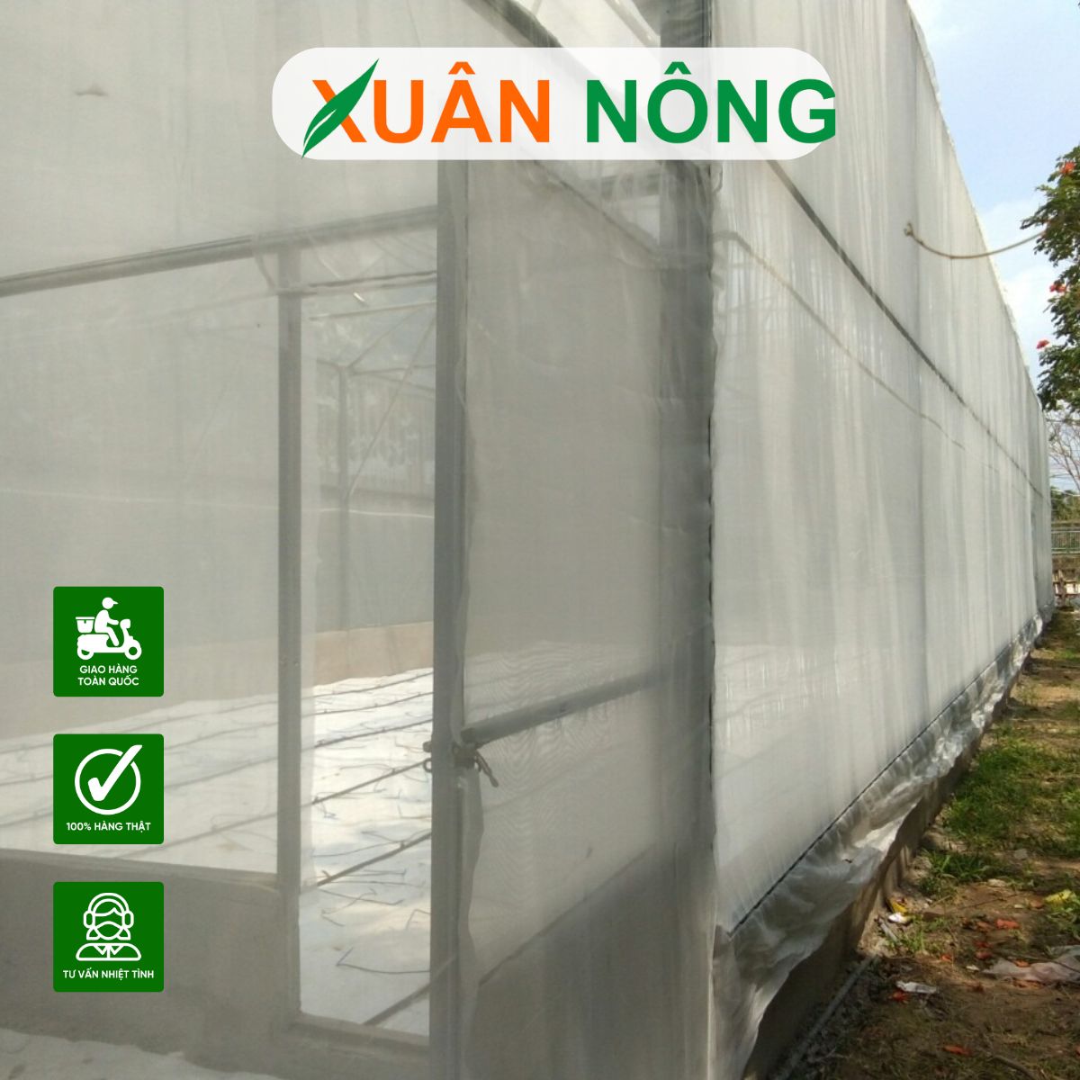 nha-mang-trong-dua-luoi-6