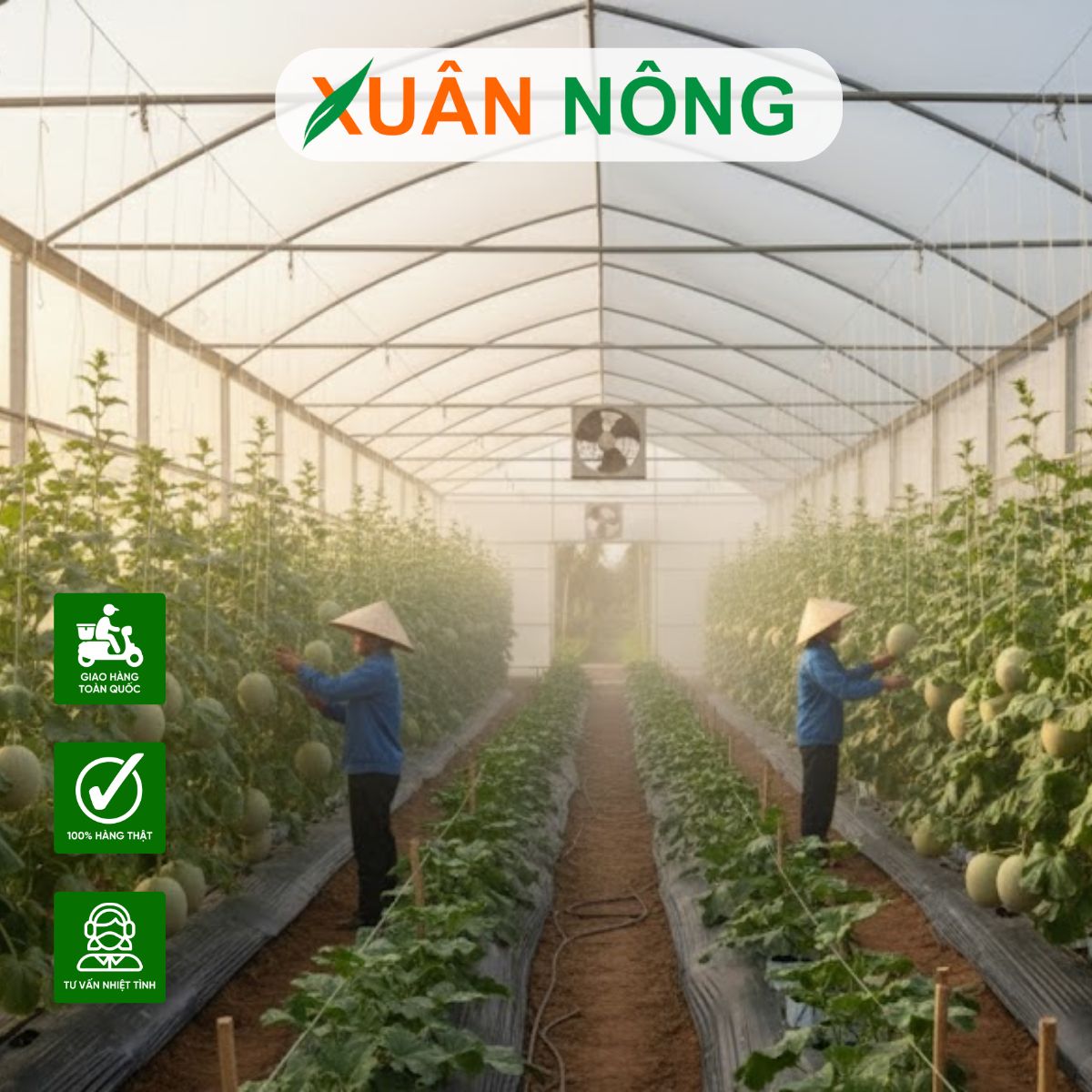nha-mang-trong-dua-luoi-thoi-gian-su-dung-2