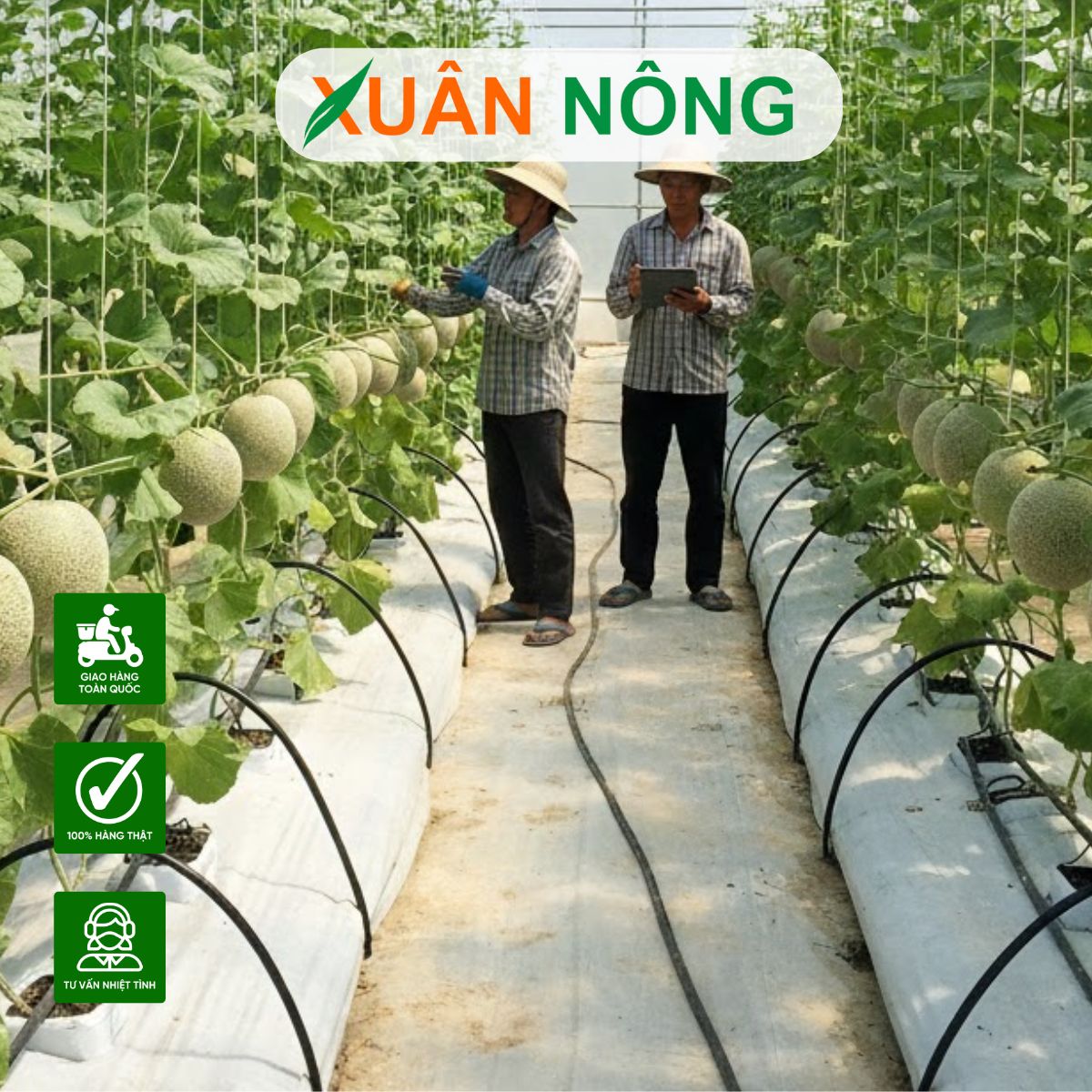 nha-mang-trong-dua-luoi-thoi-gian-su-dung-bao-lau-3