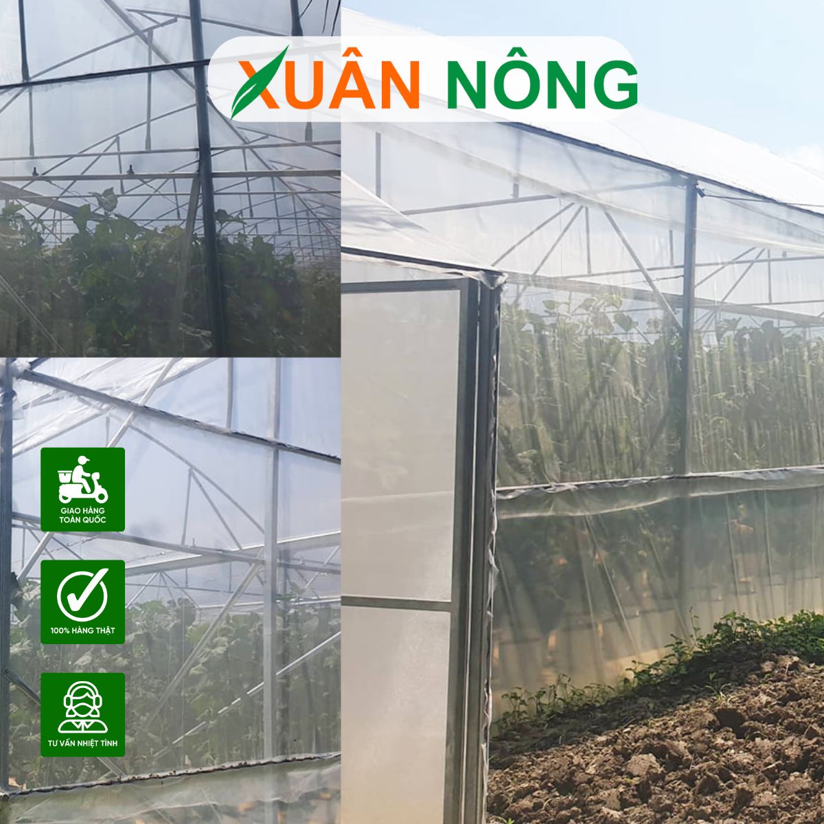 nha-mang-trong-dua-luoi-xuan-nong