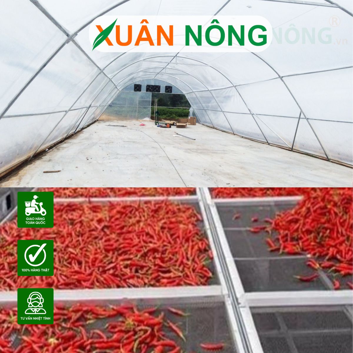 nha-phoi-nong-san-2 1