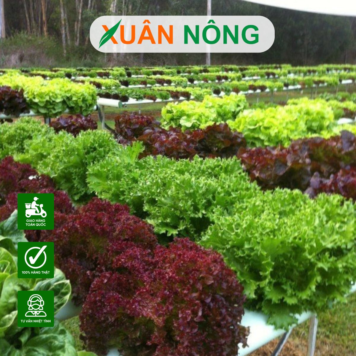 nong-nghiep-sach-1