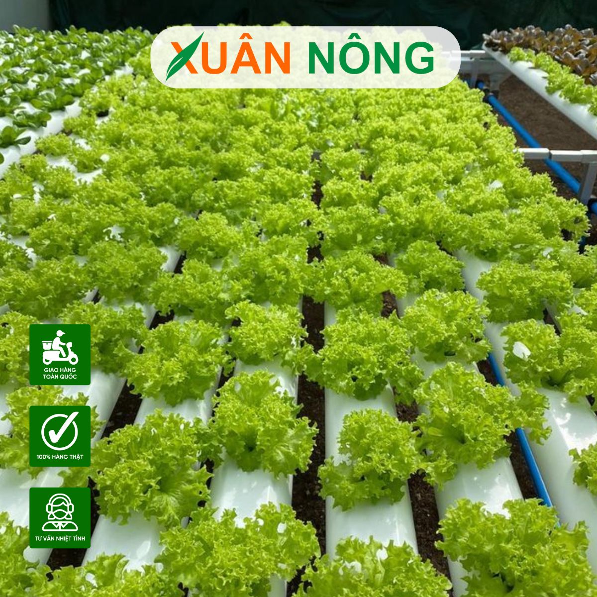 nong-nghiep-sach-2
