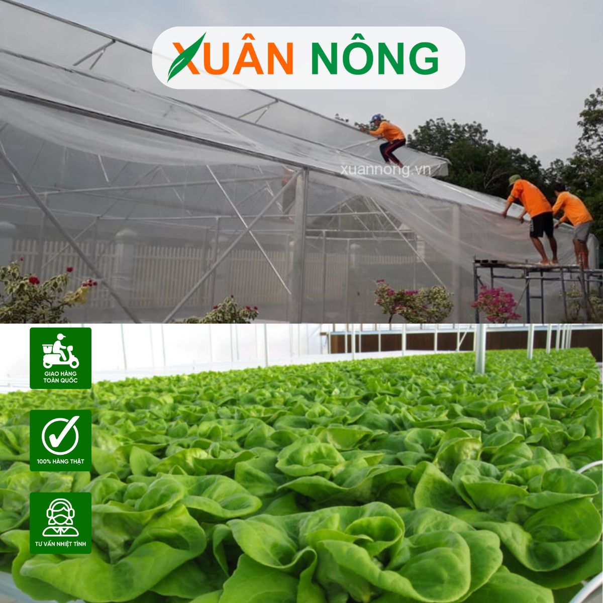nong-nghiep-sach-4