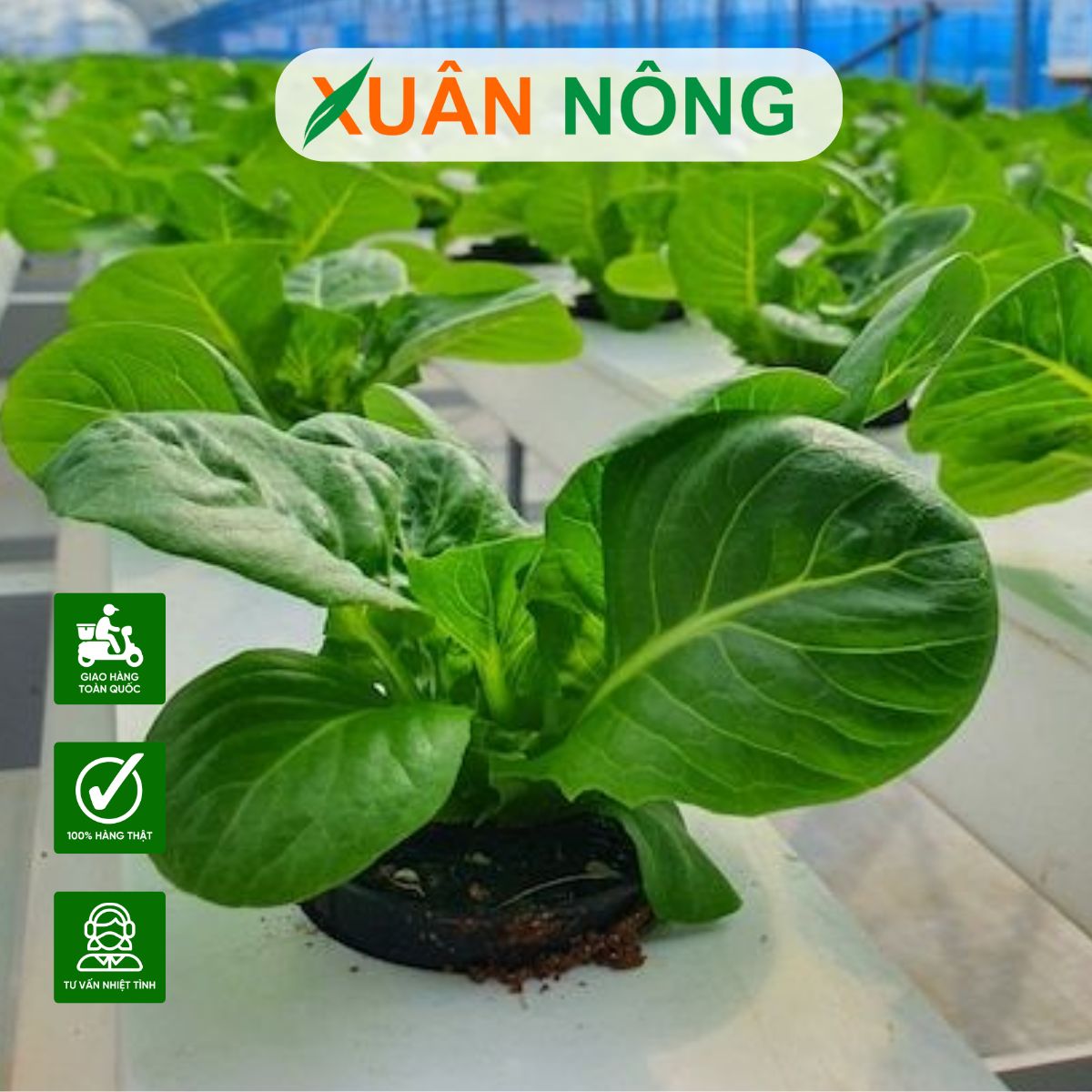 nong-nghiep-sach-la-gi-1