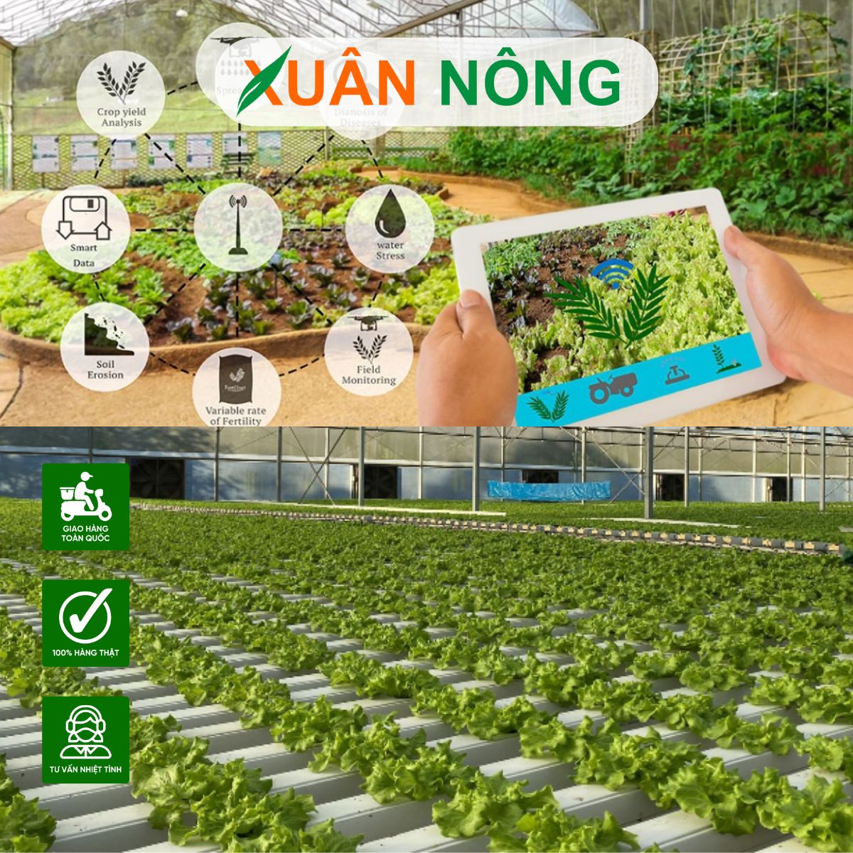 nong-nghiep-sach-la-gi-3