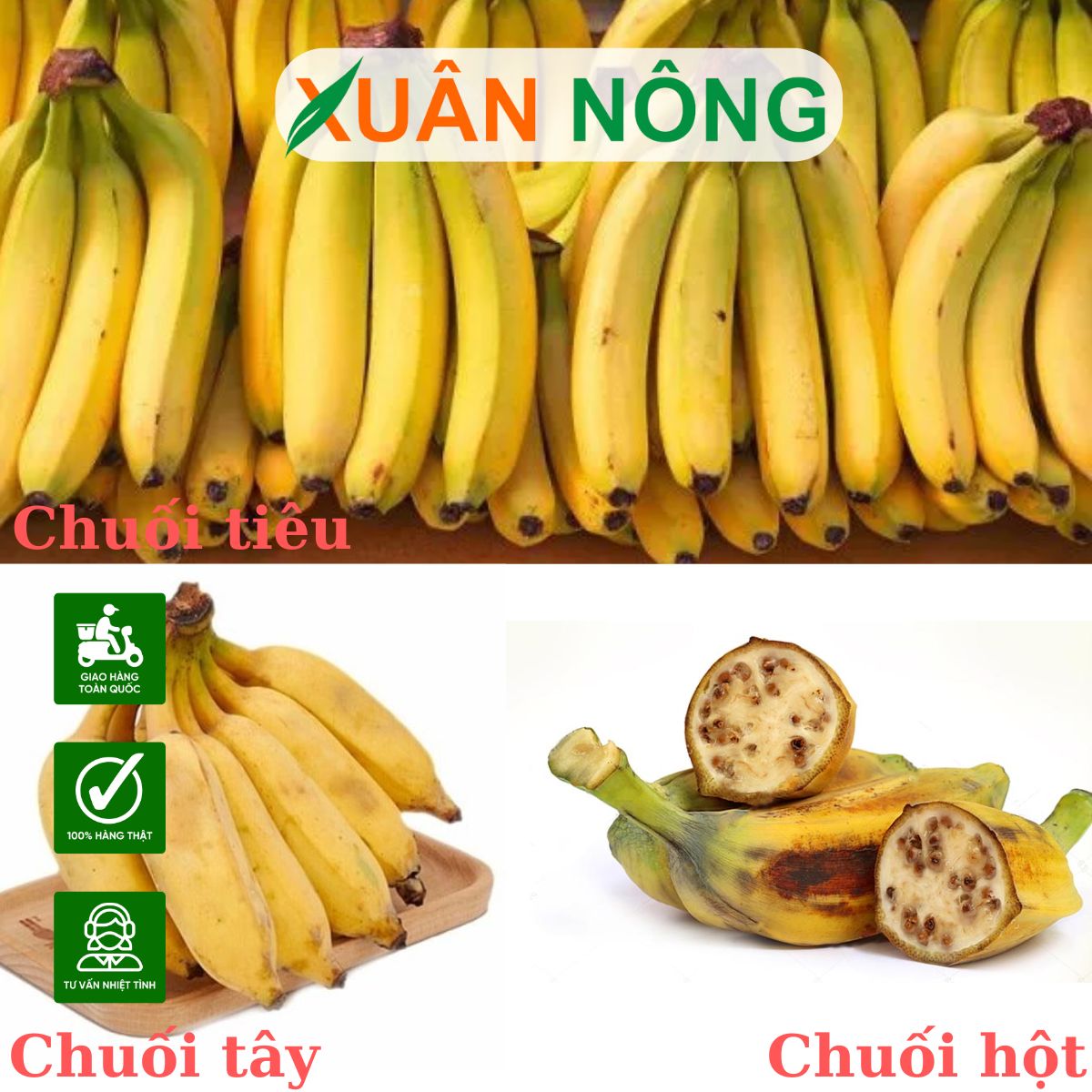 phan-biet-chuoi