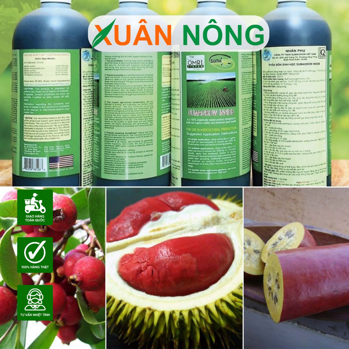 phan-bon-cho-cay-an-trai-3