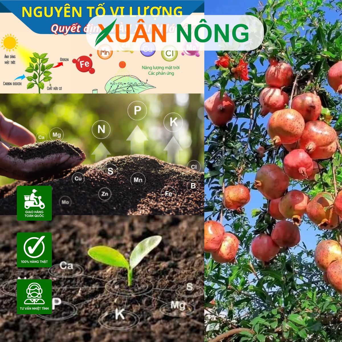 phan-bon-vi-luong-la-phan-gi