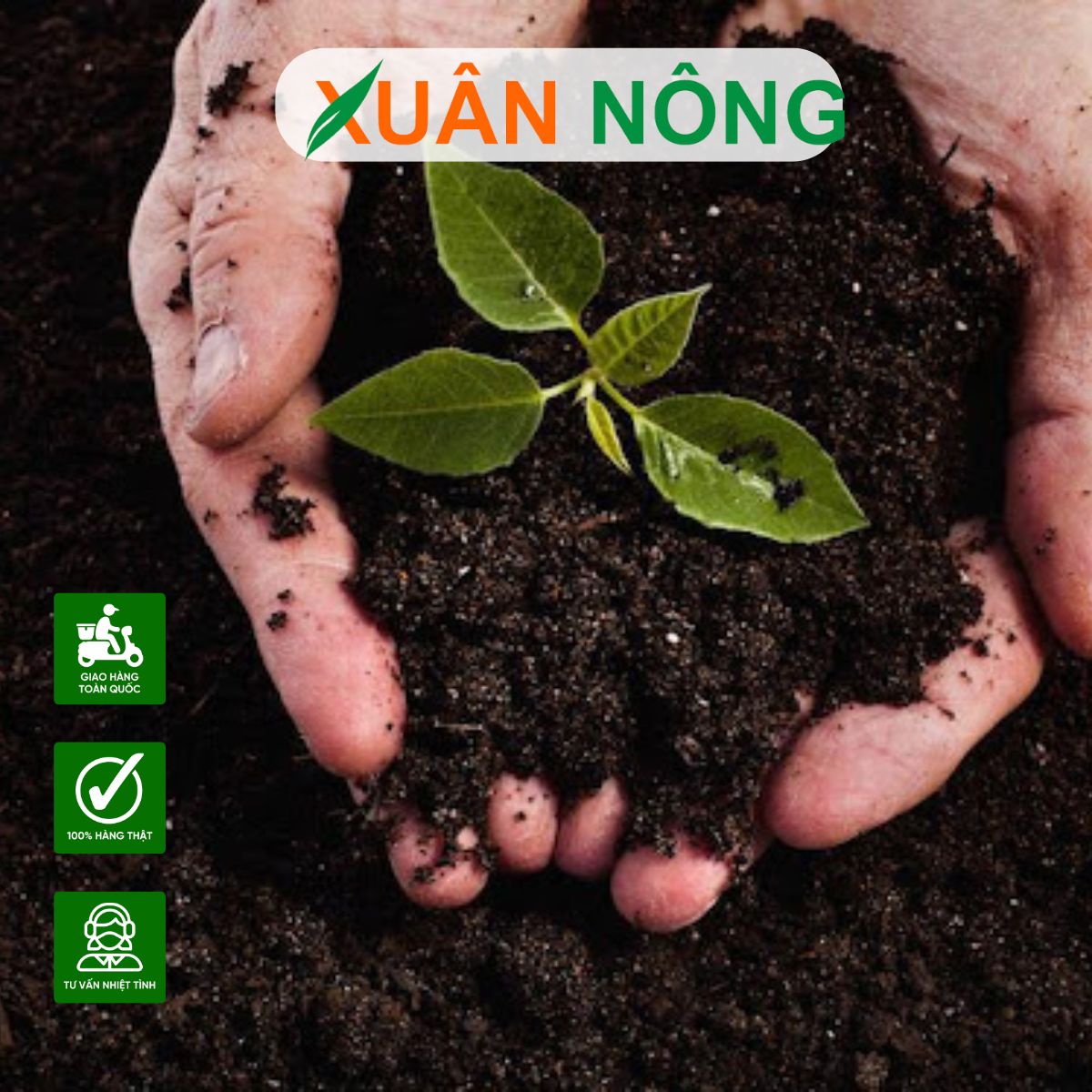 phan-huu-co-4