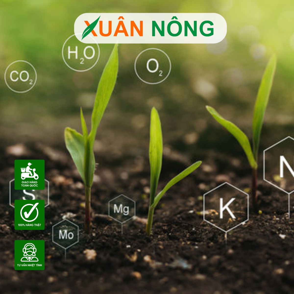 phan-huu-co-phan-huu-co-vi-sinh-1