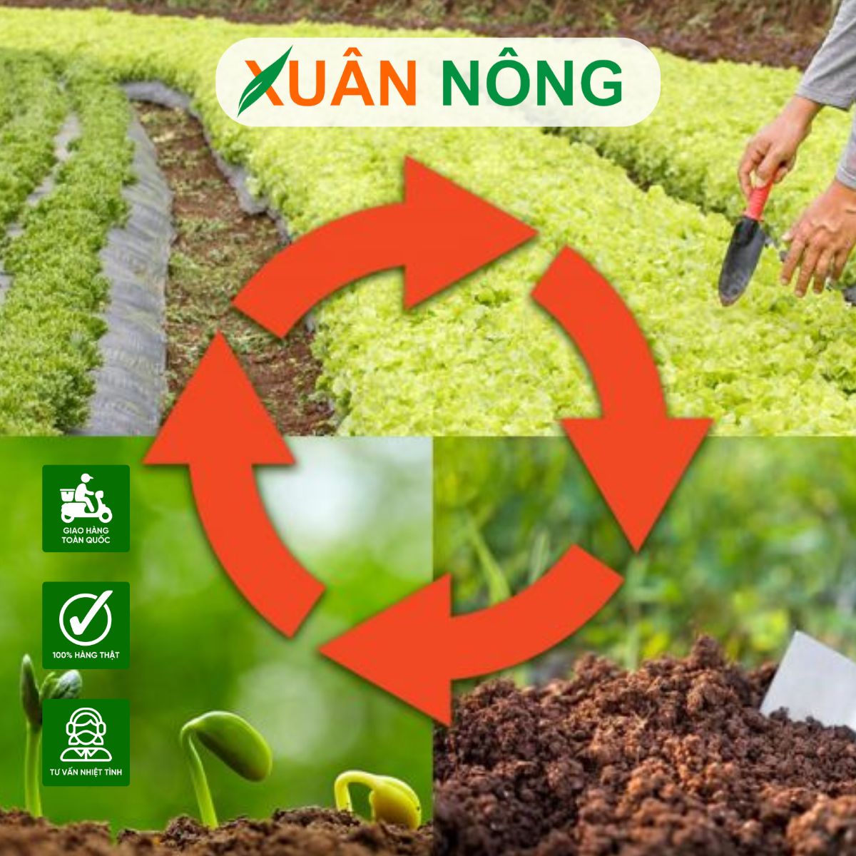 phan-huu-co-phan-huu-co-vi-sinh-3