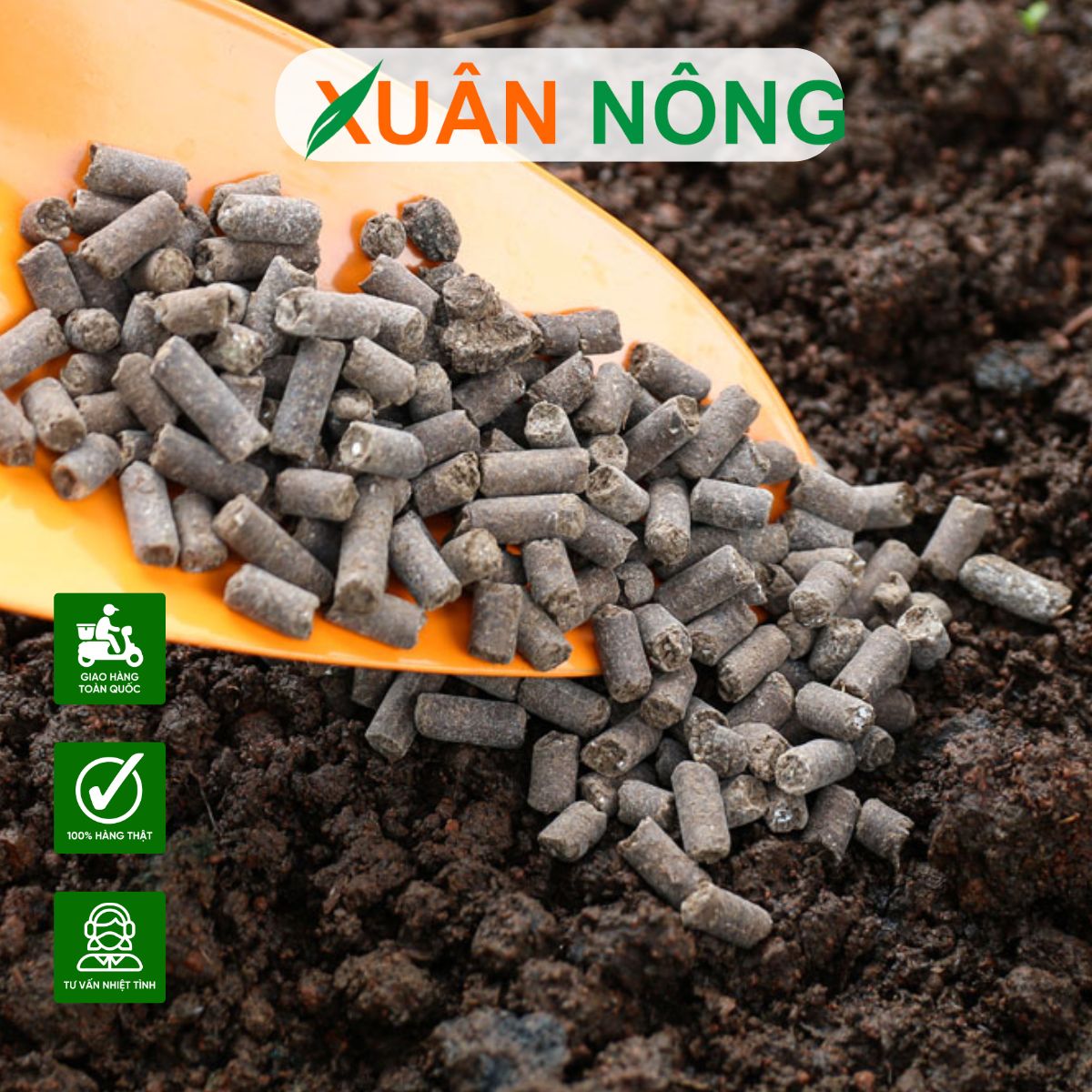 phan-huu-co-xuan-nong