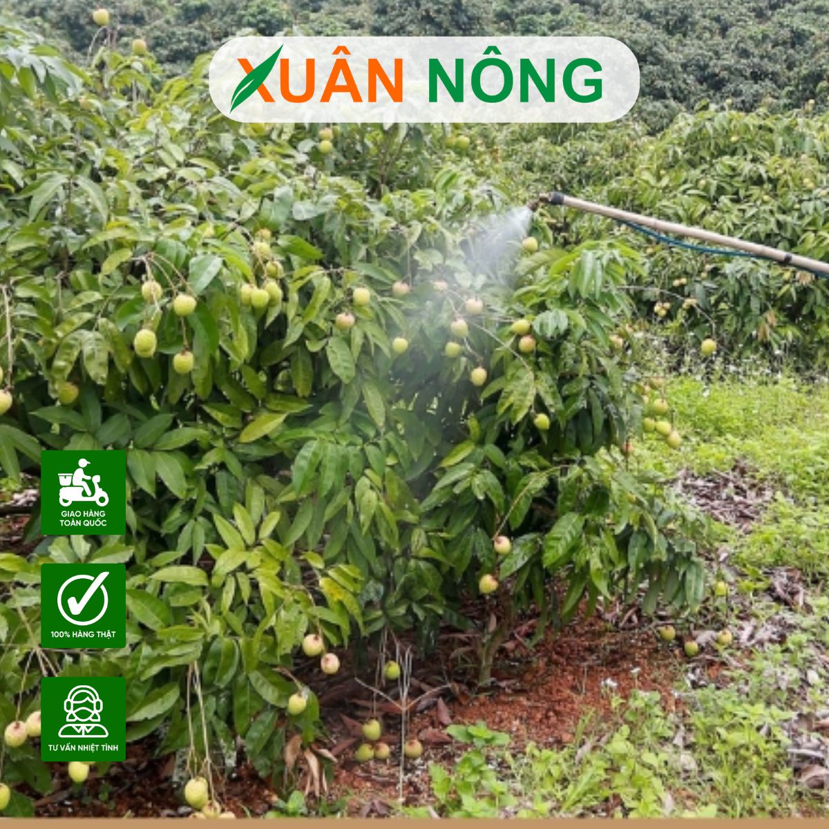 phong-sau-benh