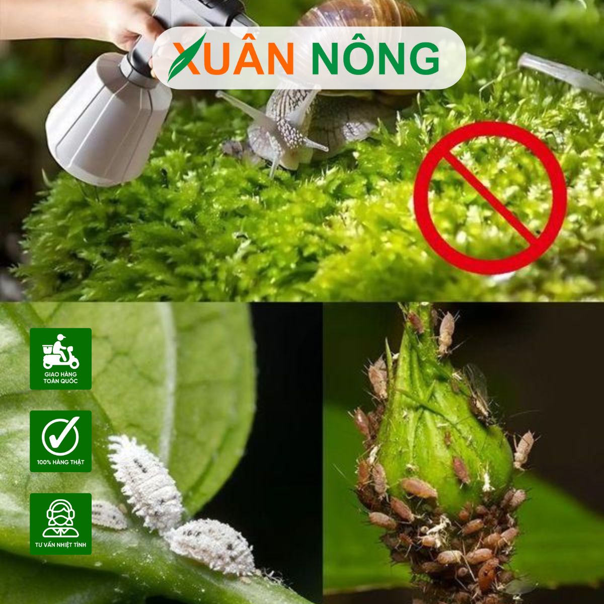 phong-tru-sau-benh-1