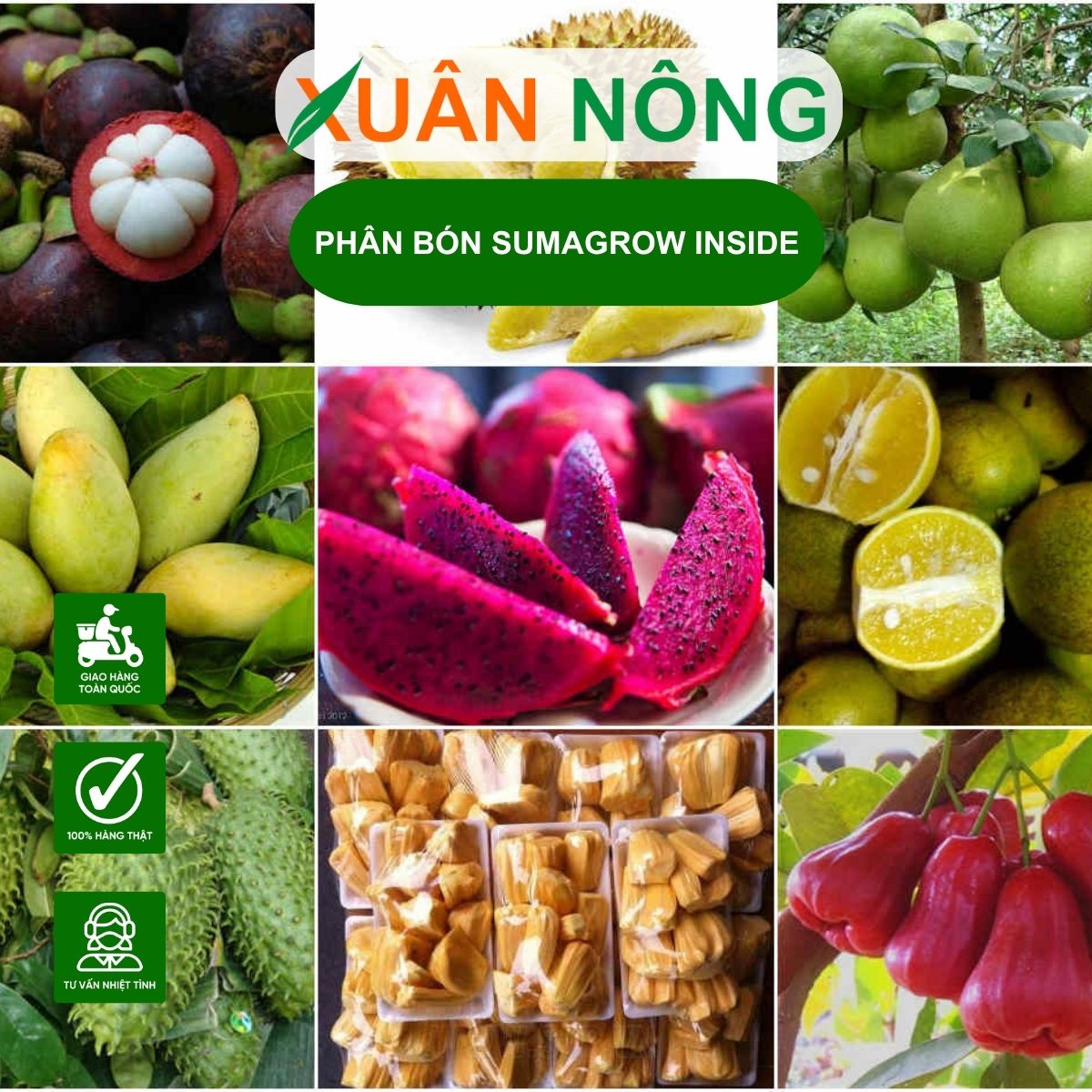 su-dung-phan-sumagrow-cho-nong-san