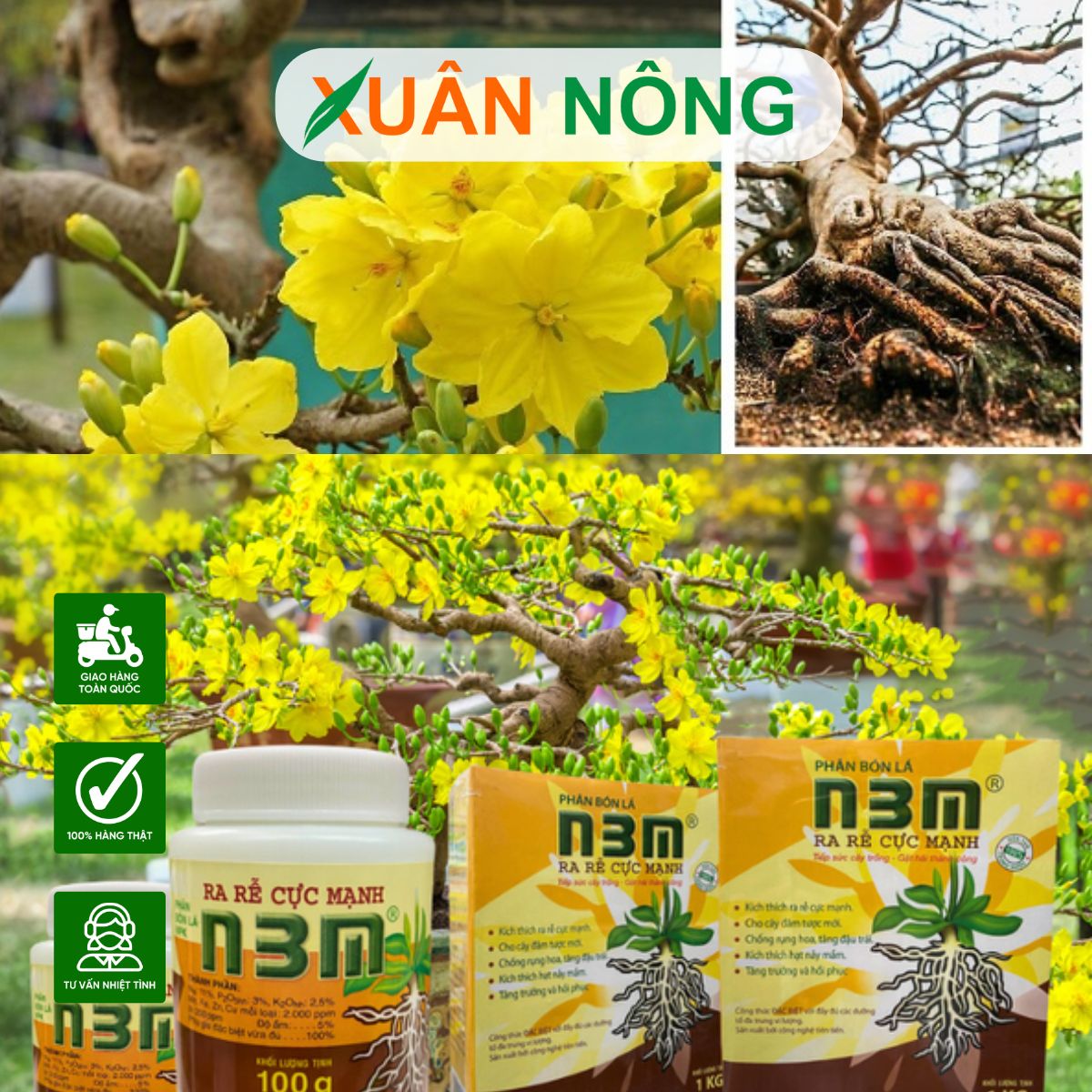 thuoc-kich-re-n3m-cho-mai-vang