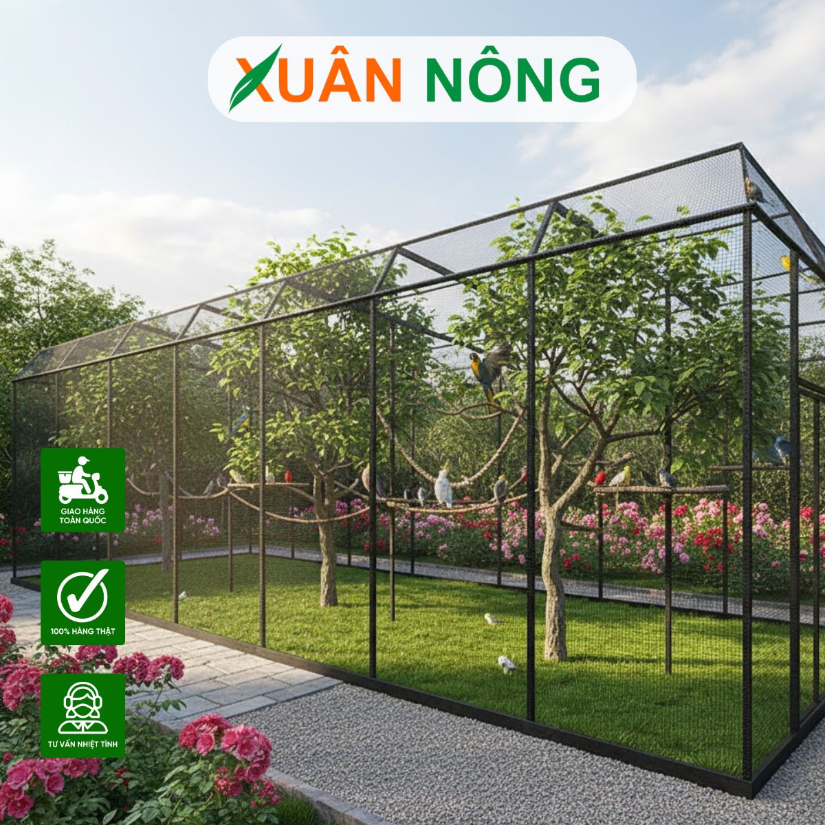 top-20-mau-nha-luoi-nuoi-chim-ngoai-troi-14