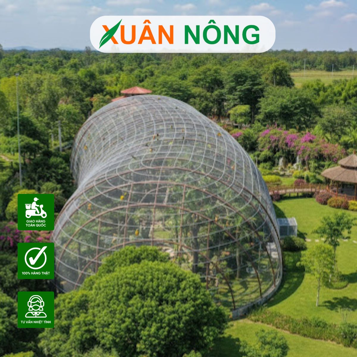 top-20-mau-nha-luoi-nuoi-chim-ngoai-troi-6