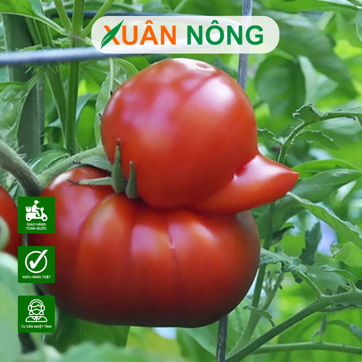 trai-di-dang
