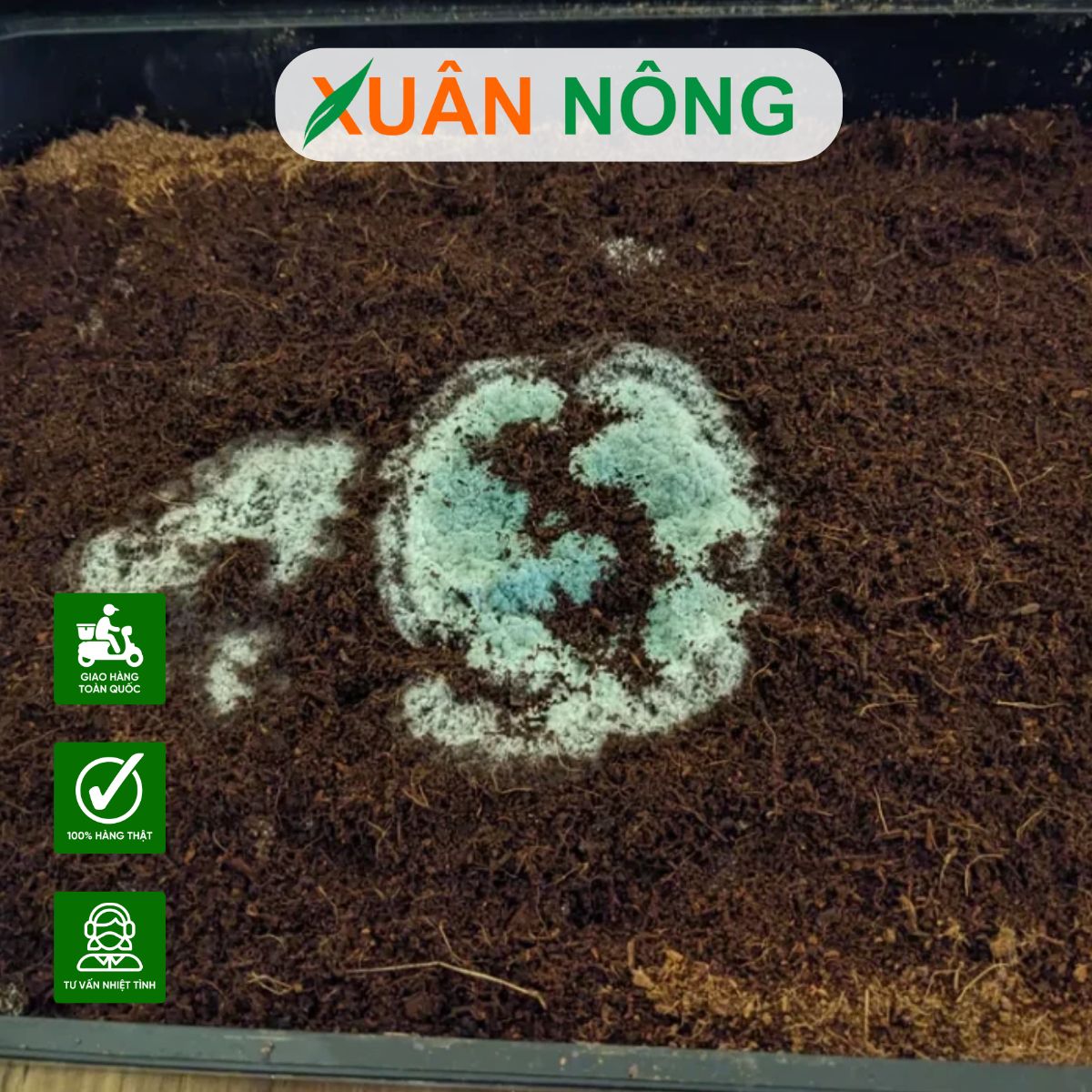 trichoderma-bi-quyet-cai-tao-dat-va-tang-nang-suat-cay-trong-1