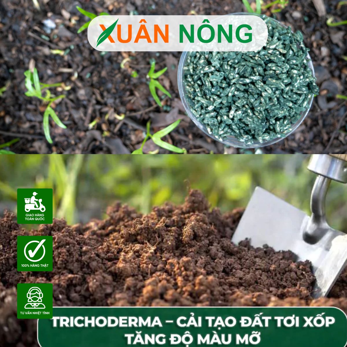 trichoderma-bi-quyet-cai-tao-dat-va-tang-nang-suat-cay-trong