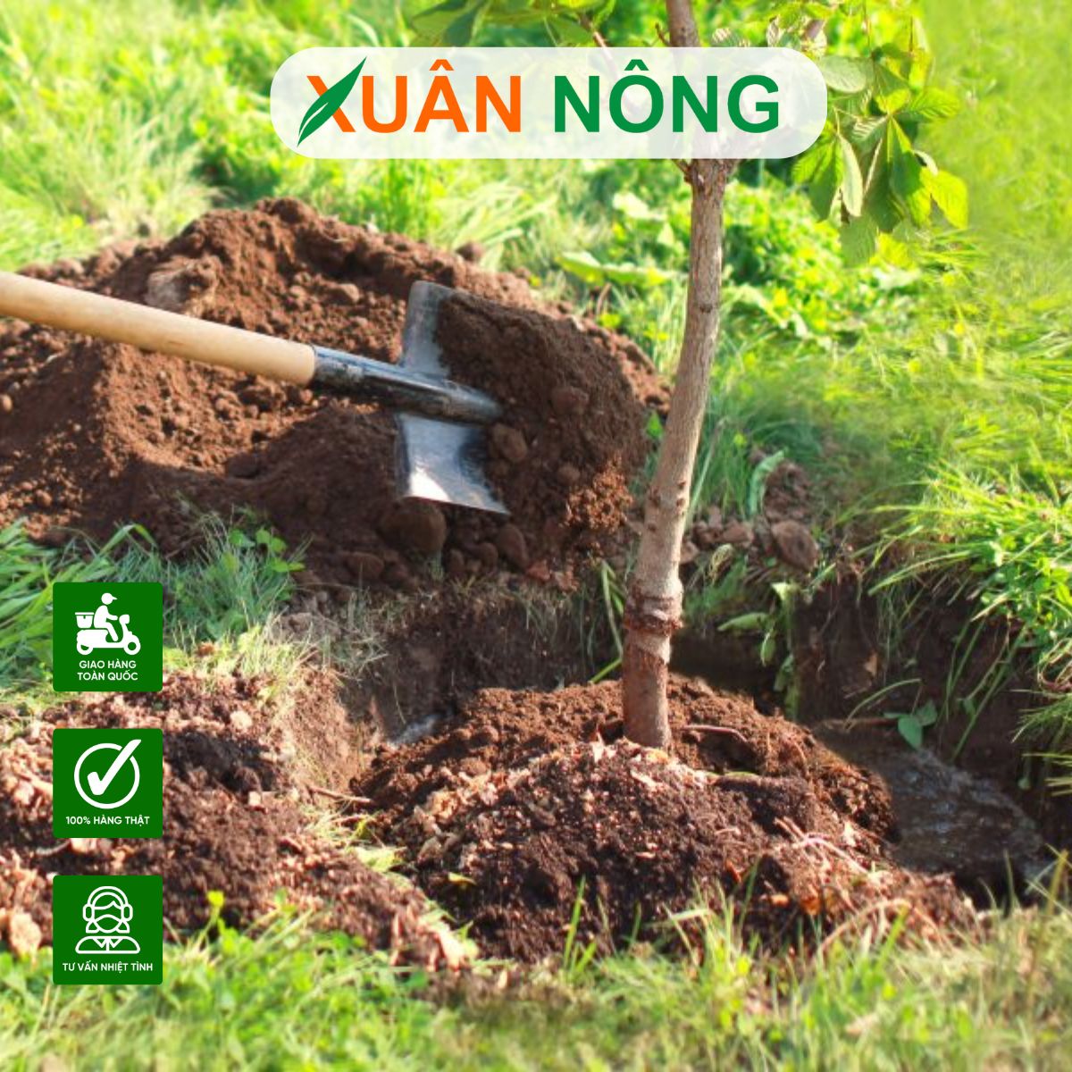 trong-cay-dung-ky-thuat