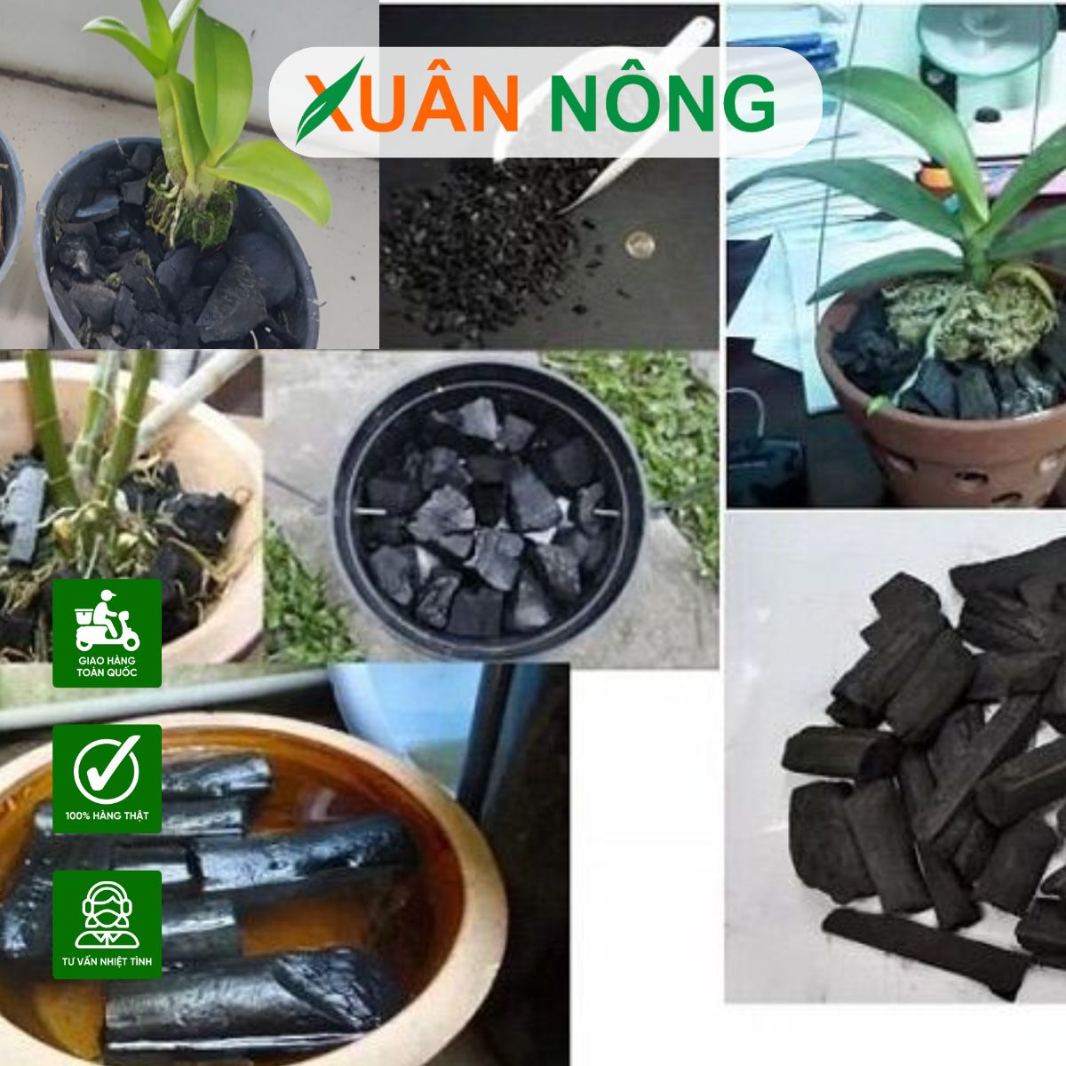uu-nhuoc-diem-gia-the-trong-lan-5