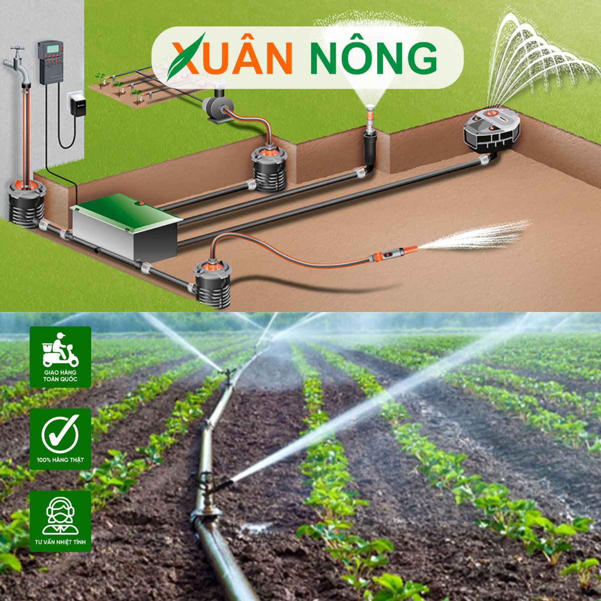 van-hanh-he-thong-tuoi-2